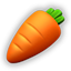 carrot